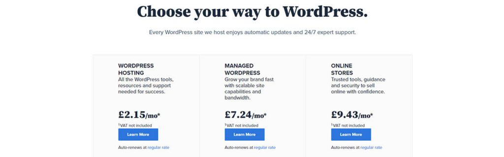 Bluehost - Fast, reliable and packed with features 2 Best WordPress Hosting of 2022 (Depth Review)- thebrittech.com